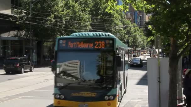 Melbourne buss — Stockvideo