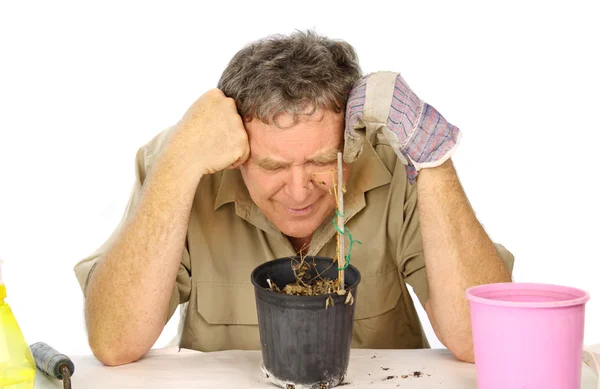 Disappointed Gardener — Stock Photo, Image