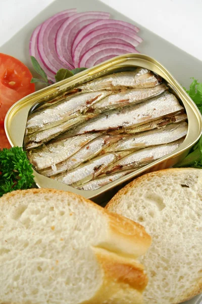 Sardinas y ensalada — Foto de Stock