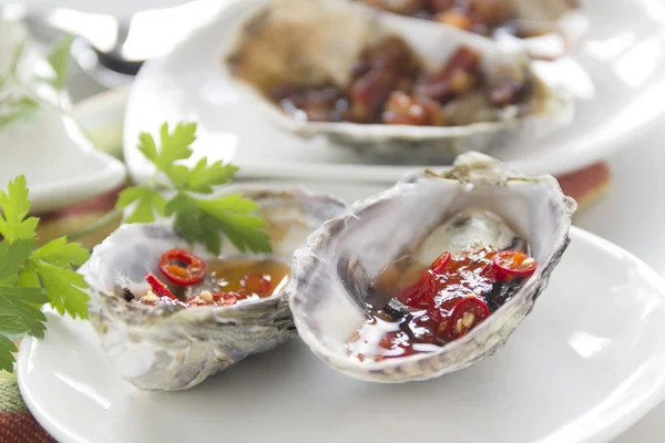 Schotel van oesters — Stockfoto