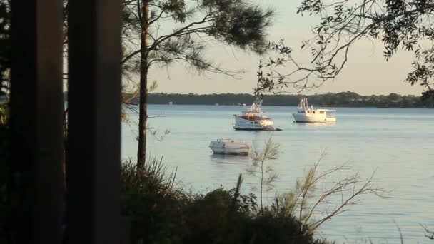 Barcos em uma manhã calma cedo — Vídeo de Stock