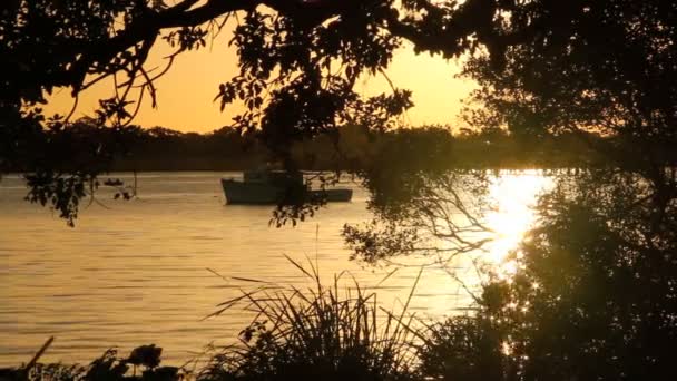 Reflejos brillantes de la luz solar en el agua — Vídeos de Stock