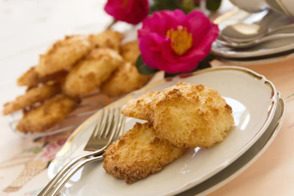 Coconut Macaroons — Stock Photo, Image