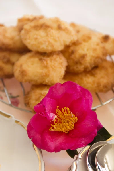 Camellia And Macaroons — Stock Photo, Image