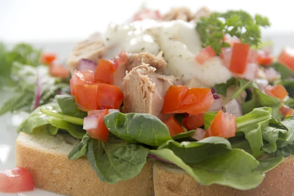 Sandwich con insalata di tonno aperto — Foto Stock