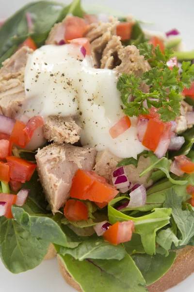 Sanduíche de salada de atum aberta — Fotografia de Stock