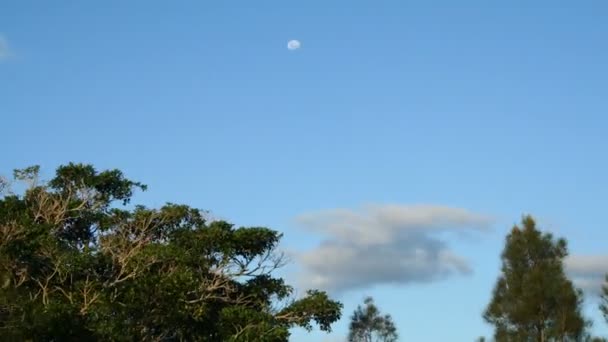Heure avancée de la Lune Timelapse 