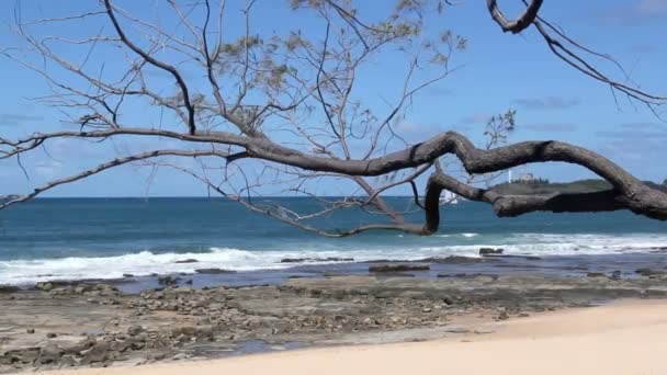 Mooloolaba — Stockvideo