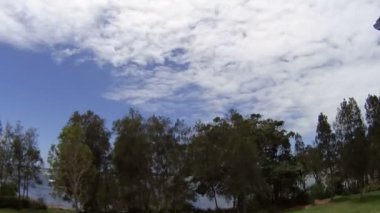 ağaç bulutlar timelapse