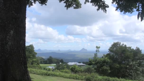 Glass House Mountains — Stockvideo