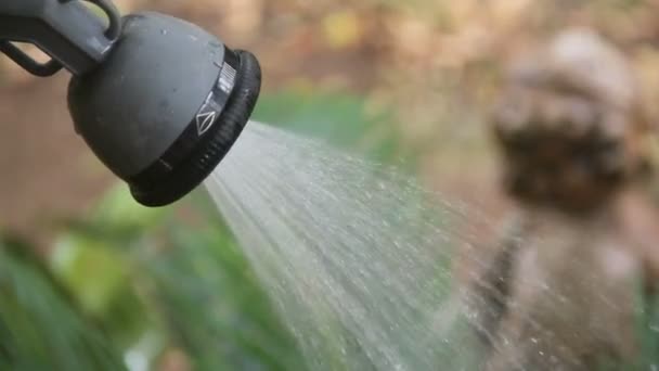 Vaporiser sur les franges 
