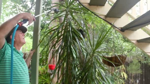homme arrosage plantes