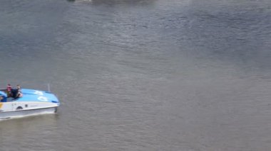 Şehir kedi çerçeve geçer