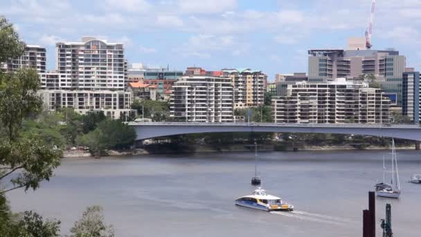 Captain Cook Bridge — Stock Video