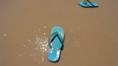 Kıyıda yıkanmış floplar flip