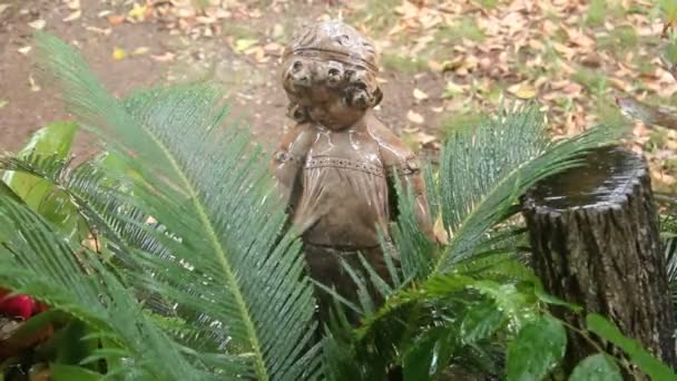 Statue de palmier d'arrosage — Video