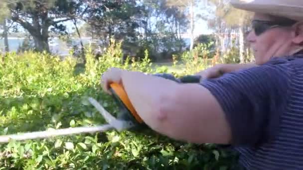 Trimming Hedges — Stock Video