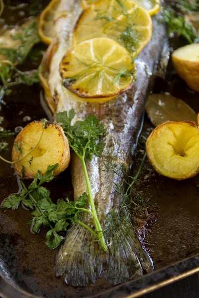 Cola de trucha arco iris al horno Imágenes de stock libres de derechos