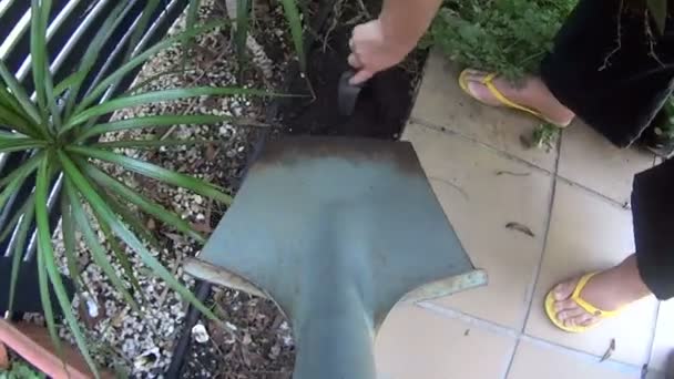 Garden spade being moved and turning soil in a planter pot. — Stock Video