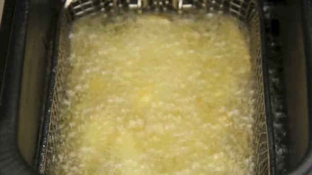 Batatas fritas dentro e fora da fritadeira — Vídeo de Stock