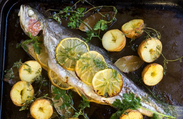 Baked Rainbow Trout — Stock Photo, Image