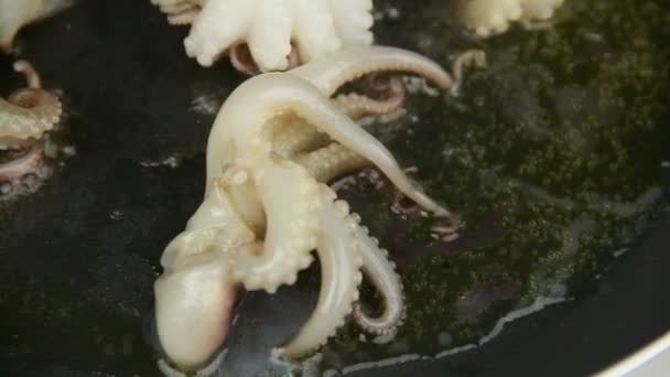 Baby octopus in a hot frying pan — Stock Video