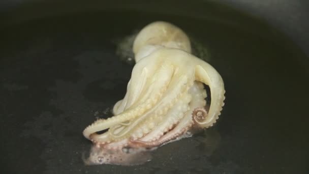 Tornando polvo bebê em uma frigideira quente com pinças mostrando tentáculos . — Vídeo de Stock