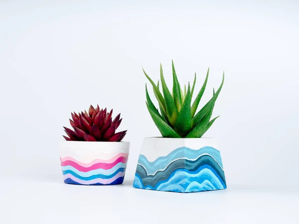 Two Succulent Plants Green Red Diy Painted Concrete Planters Isolated — стоковое фото