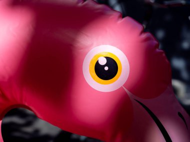 Işık ve gölgeli şişme flamingo mürekkep havuzunun gözüne yakın dur. Şişirilebilir flamingo halka tüpü. Yaz sahili geçmişi.
