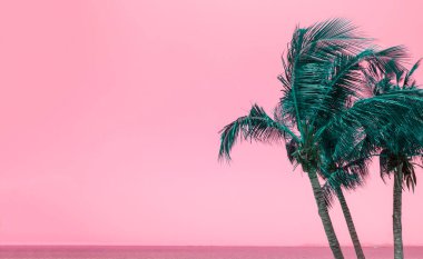 Yeşil hindistan cevizi palmiyeleri. Yazın gökyüzü pembe ve fotokopi alanı var. Güzel tropikal deniz manzarası arka planı minimal stil.