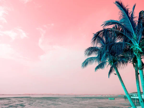 Palmeiras Coco Verde Verão Colorido Céu Rosa Mar Com Espaço — Fotografia de Stock