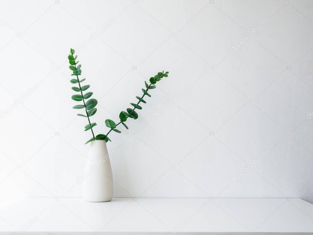 Home interior elegant floral vase decor, soft white composition. Beautiful green leaves branches in white tall vase on white wall background with copy space, minimal style.