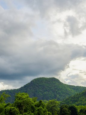 Yeşil orman dağ manzarası ve sabahları yağmur yağdıktan sonra bulutlu tropikal yağmur ormanları. Yeşil doğa toprak ve ekoloji, dikey biçim.