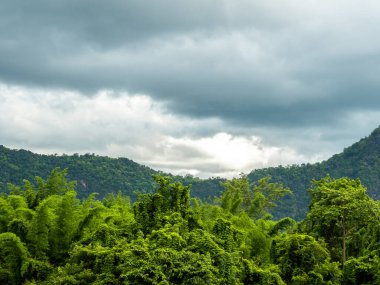Yeşil ormanın, dağ manzarasının ve yağmurdan sonra bulutlarla kaplı tropikal yağmur ormanlarının güzel manzarası. Yeşil doğa toprak ve ekoloji.