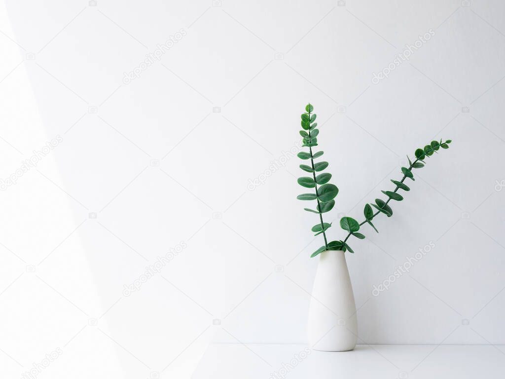 Home interior elegant floral vase decor, soft white composition. Beautiful green leaves branches in white tall vase on white wall background with copy space, minimal style.