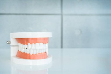 Takma diş kapağı, akrilik insan çene modeli beyaz masada fotokopi alanı ile. Diş kliniğinde ağız hijyeni eğitimi için plastik yapay insan dişleri..