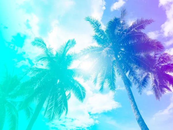 Coconut Palm Trees Summer Colorful Sky Beautiful Tropical Background Space — Stockfoto