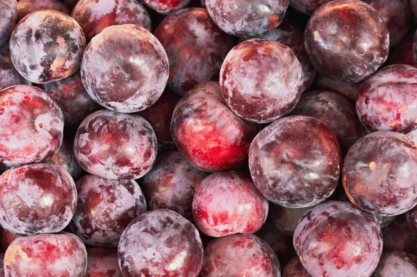 Many purple plums — Stock Photo, Image