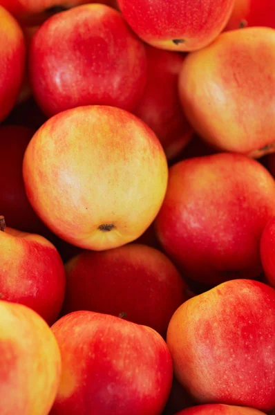 Background of the red apples — Stock Photo, Image