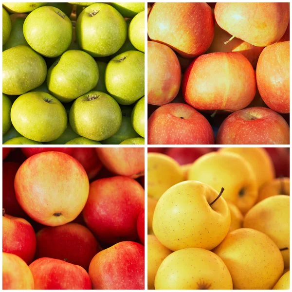 De kleurrijke appels in de collage — Stockfoto