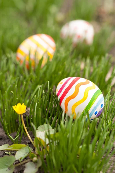 Easter Eggs in Grass — Stock Photo, Image