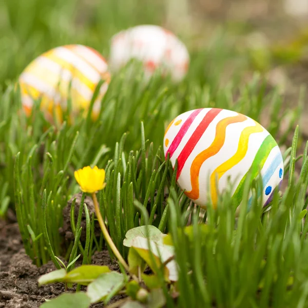 Easter Eggs in Grass — Stock Photo, Image