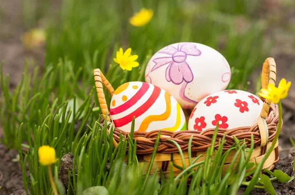 Velikonoční vejce v košíku na trávě — Stock fotografie