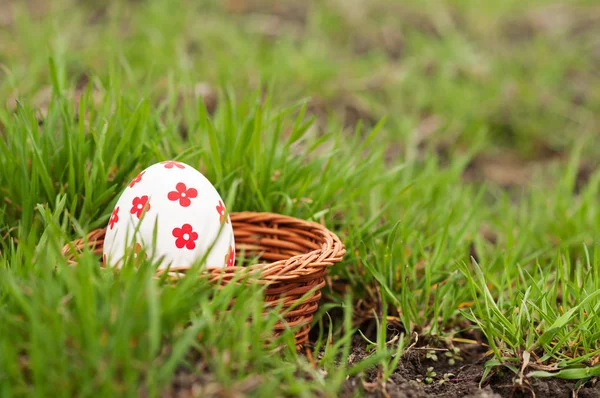 Huevos de Pascua en cesta sobre hierba — Foto de Stock