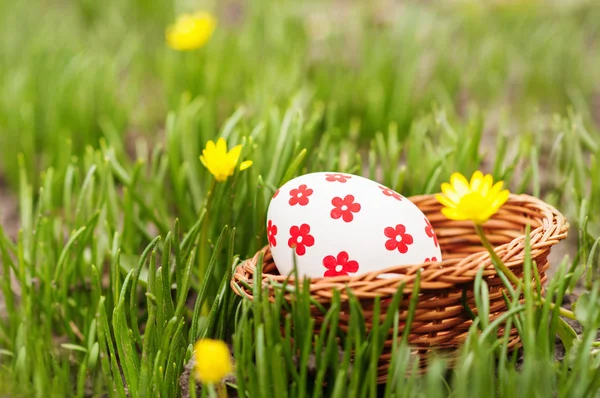 Huevos de Pascua en cesta sobre hierba — Foto de Stock