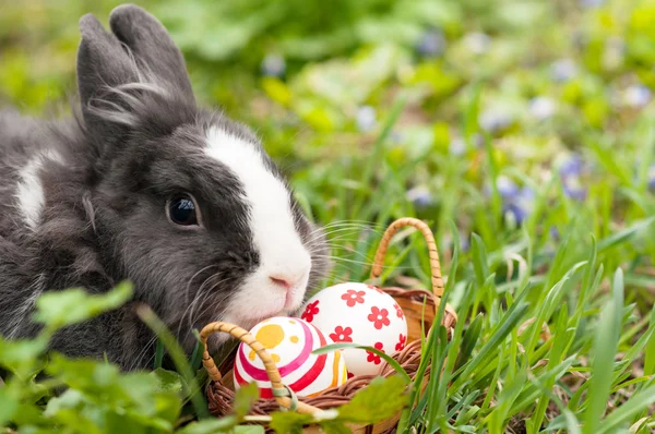 Huevos de conejo de Pascua encontrados en una pequeña cesta — Foto de Stock