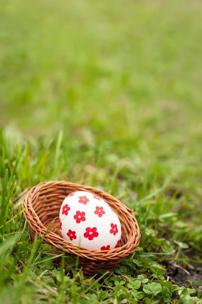 Huevos de Pascua en cesta sobre hierba — Foto de Stock