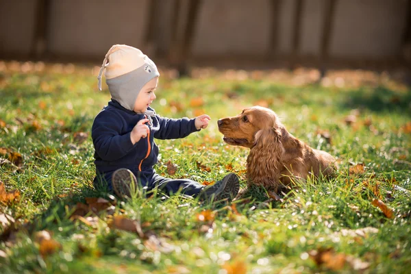 Niño sentado en la hierba con un perro Imágenes de stock libres de derechos