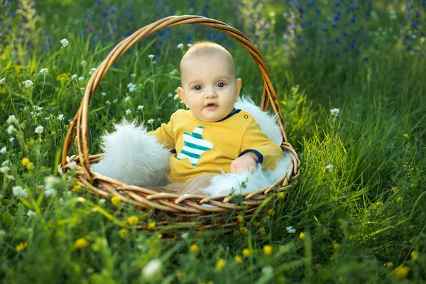 Liten smilende childin som sitter i en kurv – stockfoto