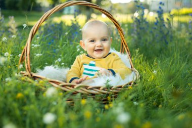 bir sepet içinde oturan küçük gülen çocuk